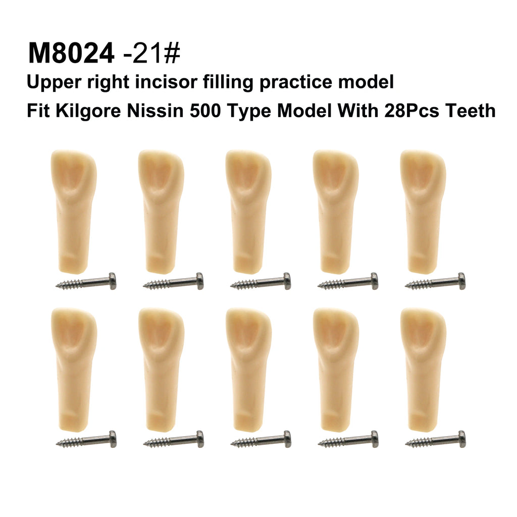 S40b87f6810a94269a1e95c10059f0b11e